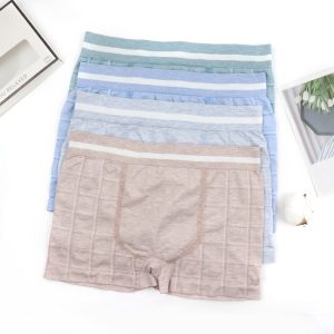 আল্ট্রা-থিন আইস সিল্ক সিমলেস অন্তর্বাস